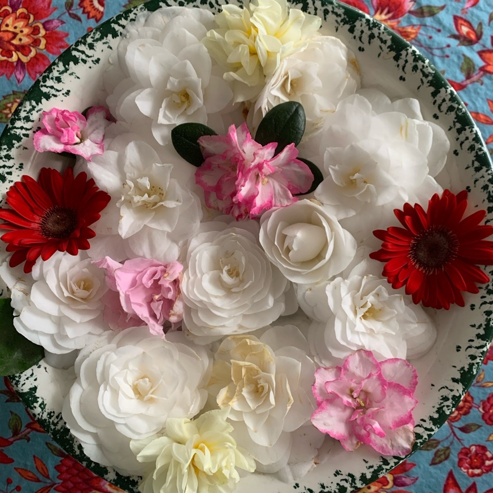 Meet your Posher, Cynthia